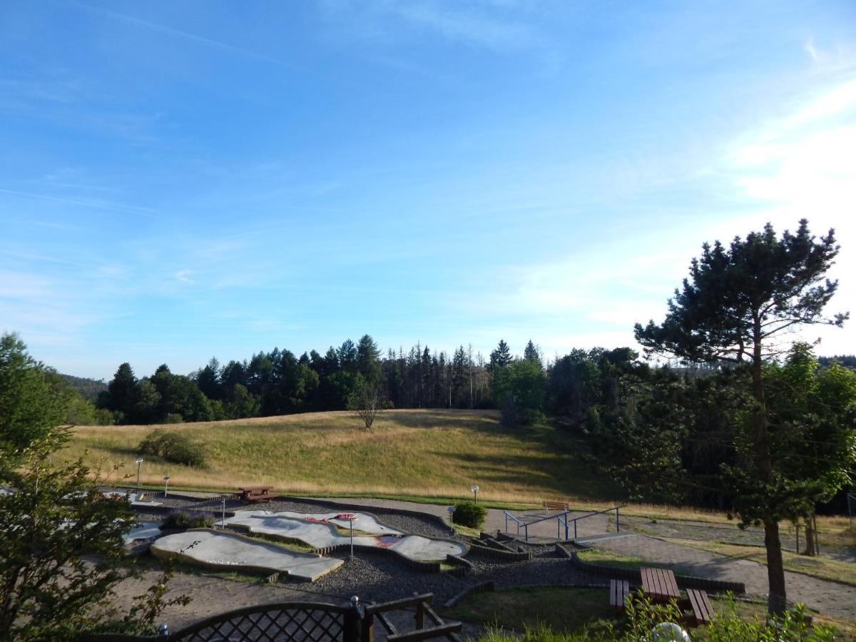 Ferienwohnung "Rodelnde Geiss" Mit Schwimmbad Braunlage Exterior foto